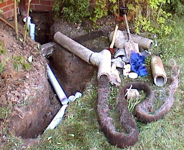 stormwtr2.jpg - 108467 Bytes - 10 metres of roots in the concrete stormwater pipe.